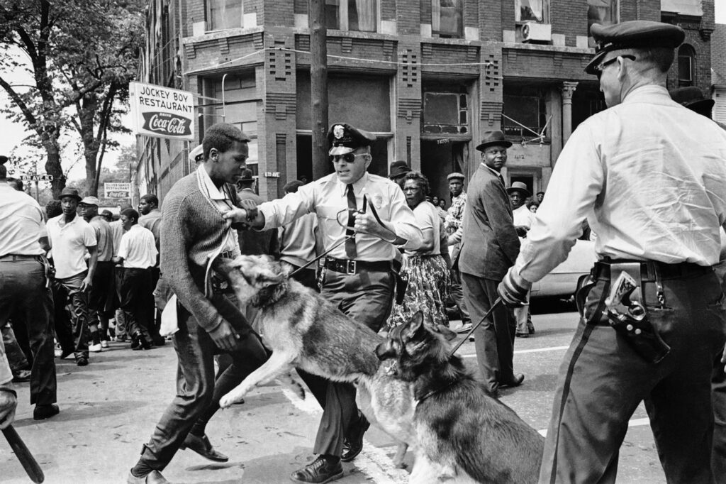 The foreground of the image features a German Shepard in the process of attacking a teenager as a police officer holds the teen’s sweater and shirt with one hand and the dog on the leash with the other. There is another officer with his back facing the camera who has a second German Shepard on a leash. The second dog is lunging toward the boy.